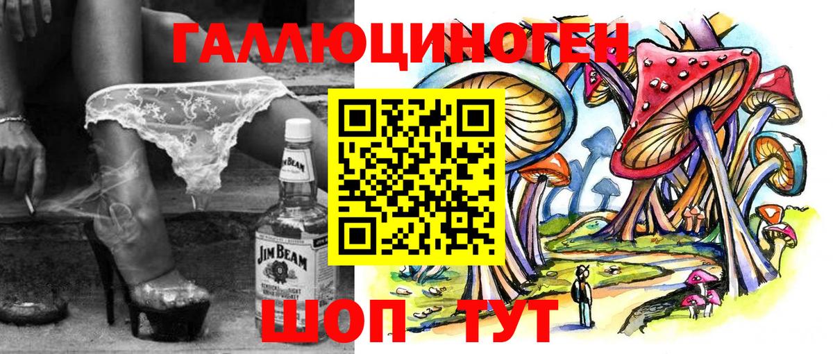 Галлюциногенные грибы Psilocybe Ленинск-Кузнецкий