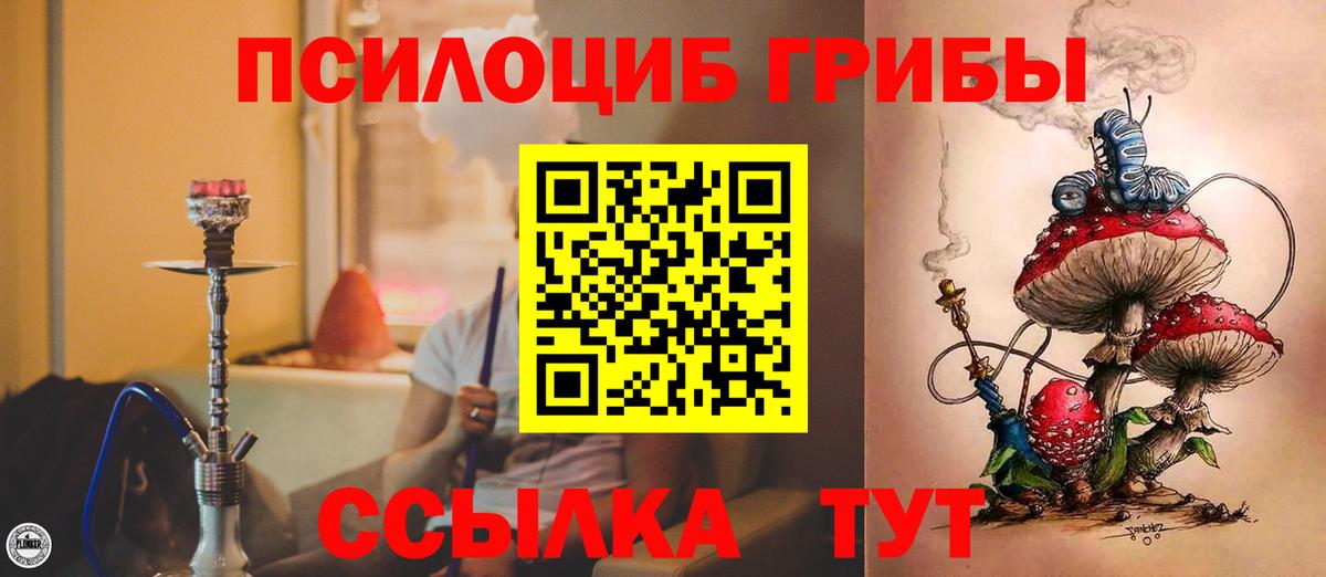 Ленинск-Кузнецкий  Псилоцибиновые грибы Cubensis  Галлюциногенные грибы Cubensis  Вход с VPN 